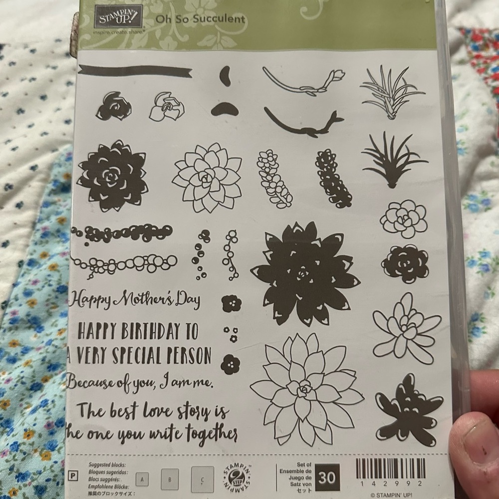 Stampin' Up! Oh So Succulent Floral Stamp Set